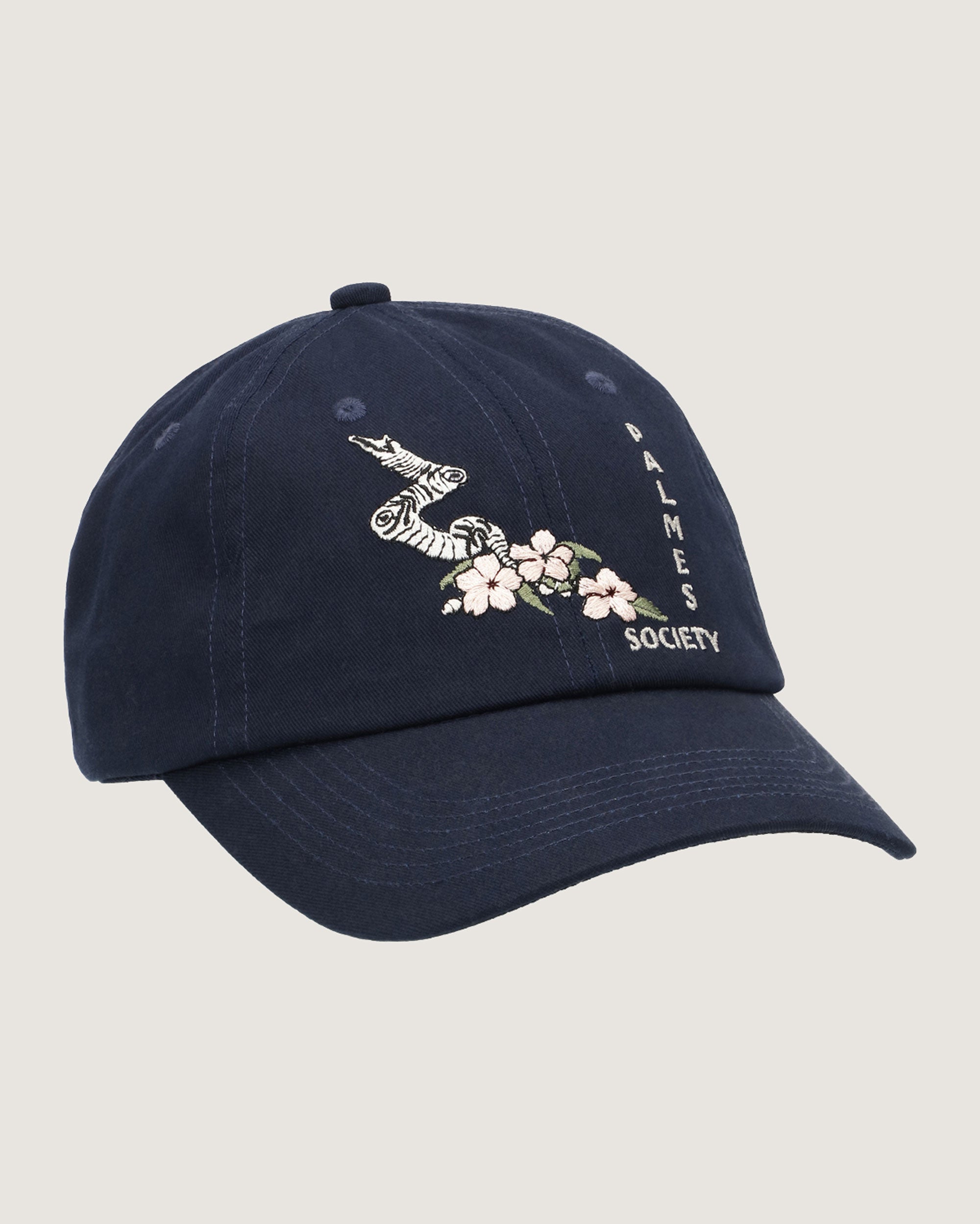 Ramus 6-Panel Cap