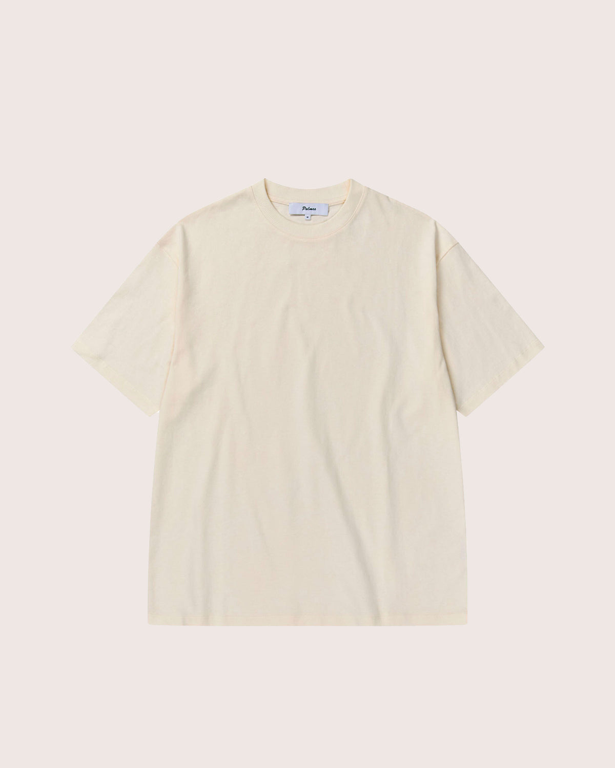 Blank T-Shirt